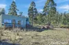 Lot 1 Phipps Road, Runnymede, Tas 7190-Image