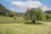 Lot 1, Reeves Lane, Dover, Tas 7117-Image