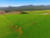 Lot 1, Rifle Range Road, Preston, Tas 7315-Image