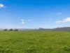 Lot 1, Rifle Range Road, Preston, Tas 7315-Image
