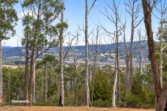 Lot 1 Slaters Road, Cradoc, Tas 7109