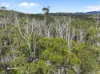 Lot 1 Slaters Road, Cradoc, Tas 7109-Image