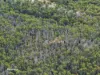 Lot 1 Slaters Road, Cradoc, Tas 7109-Image
