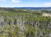 Lot 1 Slaters Road, Cradoc, Tas 7109-Image