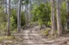 Lot 1 Slaters Road, Cradoc, Tas 7109-Image