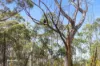 Lot 1 Slaters Road, Cradoc, Tas 7109-Image