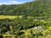 Lot 1 Spring Creek Road, Mowbray, Qld 4877-Image
