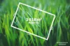 Lot 1 Sunraysia Highway, Waubra, Vic 3352-Floorplan