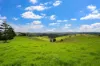 Lot 1 Tesch Road, Witta, Qld 4552-Image