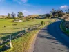 Lot 1 Upper Mill Road, Hamilton, Tas 7140-Image