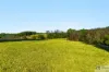 Lot 1 Waratah Way, Goonellabah, NSW 2480-Image