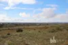 Lot 1, Zadow Road, Caloote, SA 5254-Image