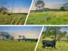 Lot 10, Stage 2, Kyogle Views Estate, Kyogle, NSW 2474-Image