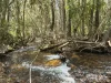 Lot 101 Emerald Falls Road, Mareeba, Qld 4880