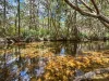 Lot 101 Emerald Falls Road, Mareeba, Qld 4880-Image