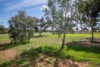 Lot 101 Prosperity Grove, Murray Bridge, SA 5253-Image