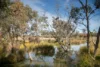 Lot 101 Prosperity Grove, Murray Bridge, SA 5253-Image
