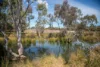 Lot 101 Prosperity Grove, Murray Bridge, SA 5253-Image