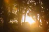 Lot 101, Springfield Farm, Yallingup, WA 6282-Image