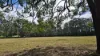 Lot 104 Keys Road, Hampton, Qld 4352-Image