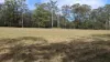 Lot 104 Keys Road, Hampton, Qld 4352-Image
