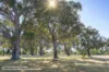 Lot 105, Springfield Farm, Yallingup, WA 6282-Image