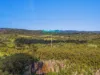Lot 107, 4 Lloyds Road, Springbrook, Qld 4213-Image