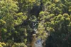Lot 109, Wetherall Road, Quinninup, WA 6258-Image