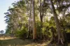 Lot 109, Wetherall Road, Quinninup, WA 6258-Image