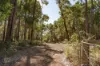 Lot 109, Wetherall Road, Quinninup, WA 6258-Image