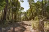 Lot 109, Wetherall Road, Quinninup, WA 6258-Image