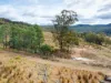 Lot 11, 524 Rosedale Road, Bicheno, Tas 7215-Image