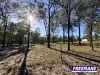 Lot 11, Curlew Road, Ballogie, Qld 4610-Image