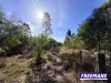 Lot 11, Curlew Road, Ballogie, Qld 4610-Image