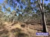 Lot 11, Curlew Road, Ballogie, Qld 4610-Image