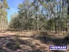 Lot 11, Curlew Road, Ballogie, Qld 4610-Image