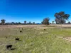 Lot 110/, 30 Narrango Road, Rylstone, NSW 2849-Image