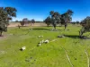 Lot 110/, 30 Narrango Road, Rylstone, NSW 2849-Image