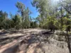 Lot 110, Biggs Rd, Coolmunda, Qld 4387-Image