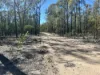 Lot 110, Biggs Rd, Coolmunda, Qld 4387-Image