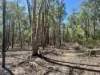 Lot 110, Biggs Rd, Coolmunda, Qld 4387-Image