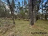 Lot 112, Reserve, Sugarloaf, Qld 4380-Image