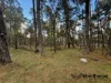 Lot 112, Reserve, Sugarloaf, Qld 4380-Image