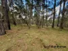 Lot 112, Reserve, Sugarloaf, Qld 4380-Image