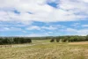 Lot 115, Kym Avenue, Littlehampton, SA 5250-Image