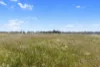 Lot 1191 Haylock Road, North Moonta, SA 5558-Image