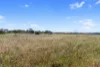 Lot 1191 Haylock Road, North Moonta, SA 5558-Image