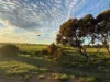 Lot 12 Coast Rd, Tickera, SA 5555