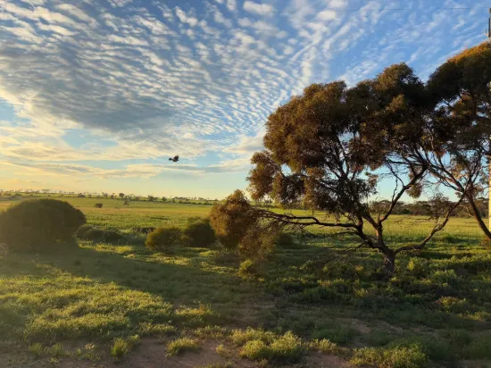 Lot 12 Coast Rd, Tickera, SA 5555