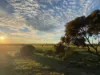 Lot 12 Coast Rd, Tickera, SA 5555-Image
